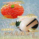 【ふるさと納税】いくら ホタテ 各500g 1kg セット 【 ふるさと納税 人気 おすすめ ランキング いくら いくら醤油漬 いくら醤油 イクラ 醤油漬 ホタテ 帆立 ほたて 貝柱 刺身 ほたて貝柱 ホタテ貝柱 冷凍 海鮮 生食可 オホーツク 北海道 網走市 送料無料 】 ABE002