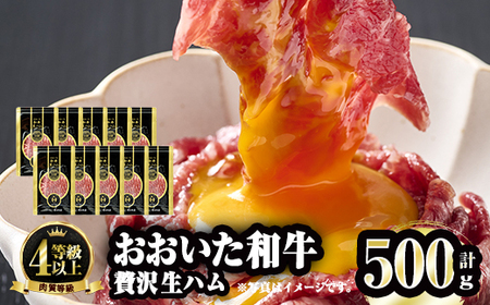 おおいた和牛 生ハム (計500g・50g×10P) 国産 牛肉 もも肉 ハム A4 和牛 ブランド牛 小分け おつまみ 大分県 佐伯市  【FW009】【 (株)ミートクレスト】