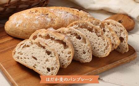 愛媛県 東温市産のはだか麦粉を使った グルテンを使用しない パンと焼菓子のセット 計8個 プレーン レーズン オレンジピール クリームチーズ ベーグル チョコチップ マフィン パン 焼菓子 菓子 スイ