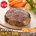 【ふるさと納税】柏木牧場特製 国産牛100% ハンバーグ (120g×12個) ジュワッと肉汁まで美味い！｜ギフト 贈り物 人気 お土産 正月 肉の日 バーベキュー 冷凍便 惣菜 牛肉 焼くだけ [0067]