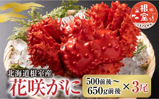 
                  B-36002 【北海道根室産】花咲かに500g前後～650g前後×3尾
                