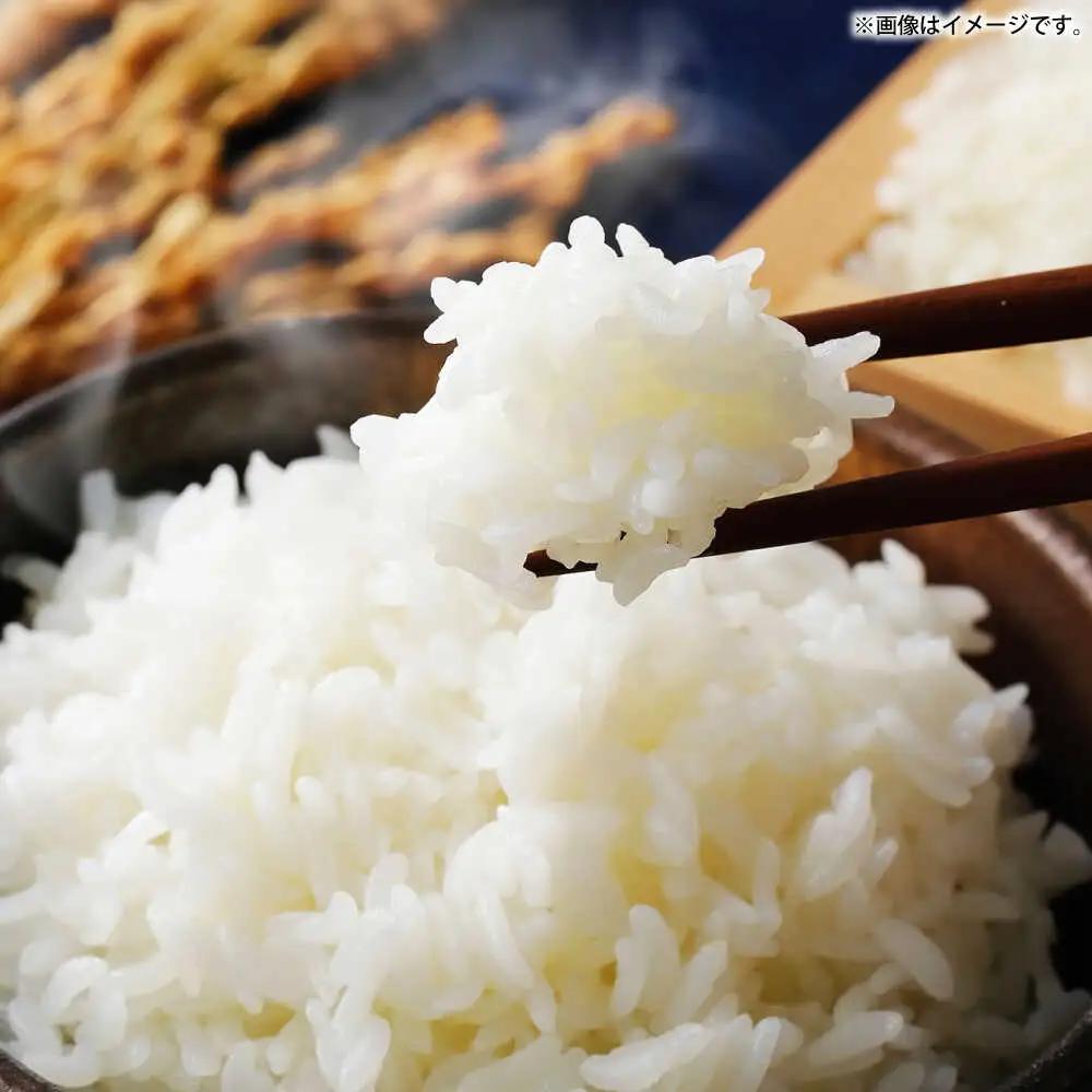 【お中元】壱岐産米と壱岐牛カレープレミアムセット 《壱岐市》【壱岐フードファクトリー】 白米 ごはん ご飯 カレー レトルト 食品 レンジ 仕送り 肉 牛肉 和牛 壱岐牛[JDW155]
