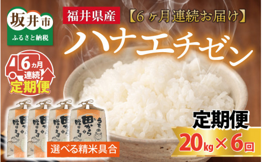 【先行予約】【令和8年産・新米】定期便 ≪6ヶ月連続お届け≫ ハナエチゼン20kg×6回 計120kg ～本原農園からまごころコメて～（白米）【2026年9月上旬以降順次発送予定】 [O-8907_01]
