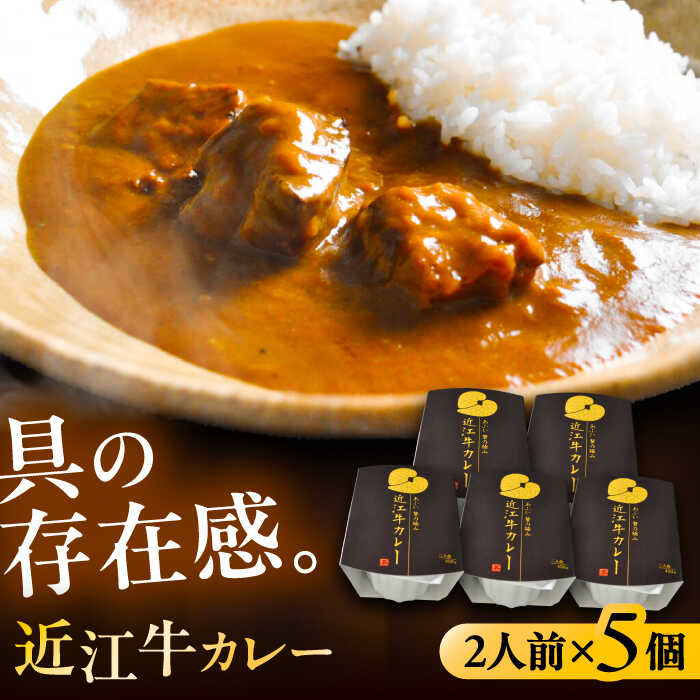 【ふるさと納税】-あふひ 贅の極み- 近江牛カレー レトルト 2人前×5個セット レトルト カレー 牛肉 和牛 ブランド牛 高級用 人気 おすすめ 簡単 調理 長期保存 カレー カレーライス レトルトカレー ビーフカレー 保存食 恵那市 / テンポイント[AUEU018]