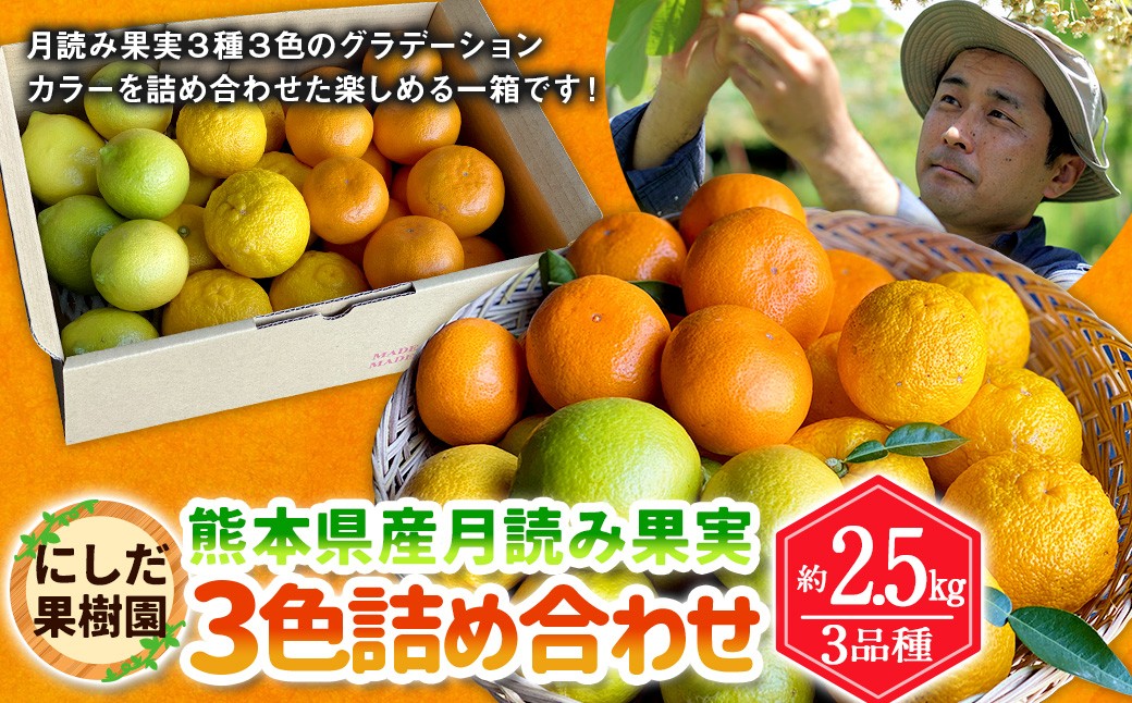 
                  にしだ果樹園の熊本県産月読み果実3色詰め合わせ（3品種）【2026年11月上旬発送開始】みかん 柚子 ゆず レモン フルーツ 果物 熊本
                