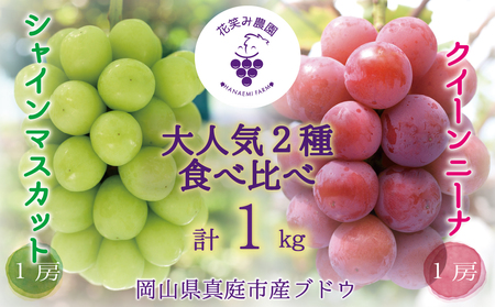 岡山 花笑み農園『シャインマスカット＆クイーンニーナ』1kg(2房) QS-1【hana66】
