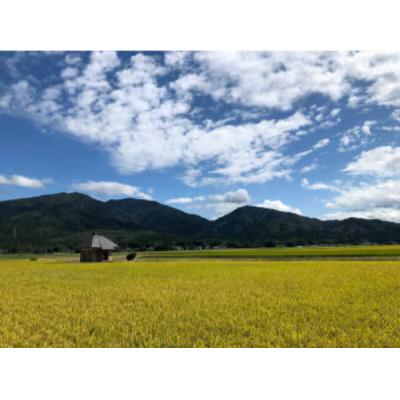 ふるさと納税 五泉市 【毎月定期便】特別栽培米コシヒカリ「南郷米」玄米10kg(5kg×2袋)全12回 |  | 01