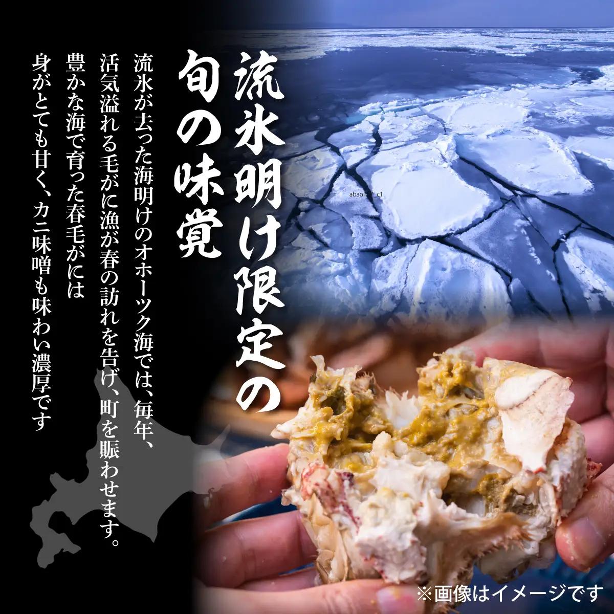 【先行予約】流氷海明け活〆毛がに2尾（冷蔵便）【2027年4月～順次発送開始予定】（網走加工）） ABAO2129 | 毛がに