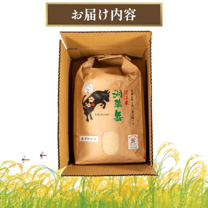 令和7年産 米 10kg みずかがみ【KK010】 近江米 精米 お米