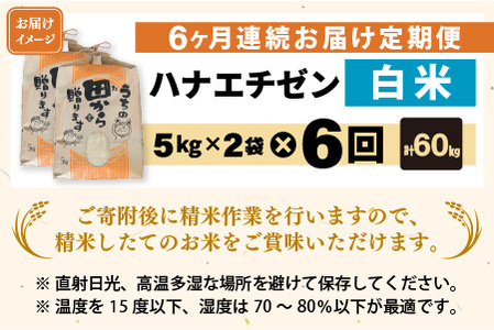 【先行予約】【令和8年産・新米】定期便 ≪6ヶ月連続お届け≫ ハナエチゼン10kg×6回 計60kg ～本原農園からまごころコメて～（白米）【2026年9月上旬以降順次発送予定】 [K-8910_01