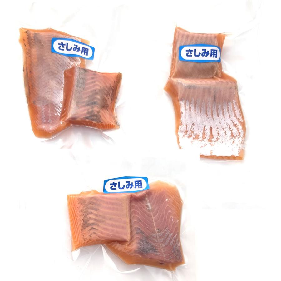 ＜山米鮮魚＞お刺身用琴浦町産サーモン4～5人前（360g）