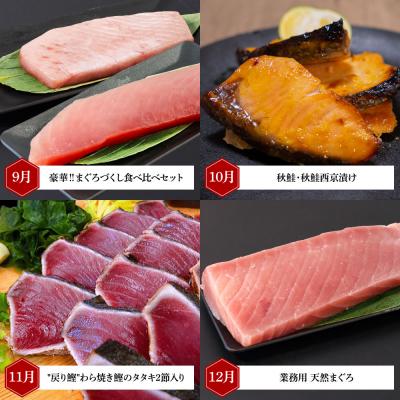 ふるさと納税 田野町 【四国一小さなまち】厳選お楽しみ福袋!海鮮人気グルメ定期便★12ヶ月定期便★ |  | 03