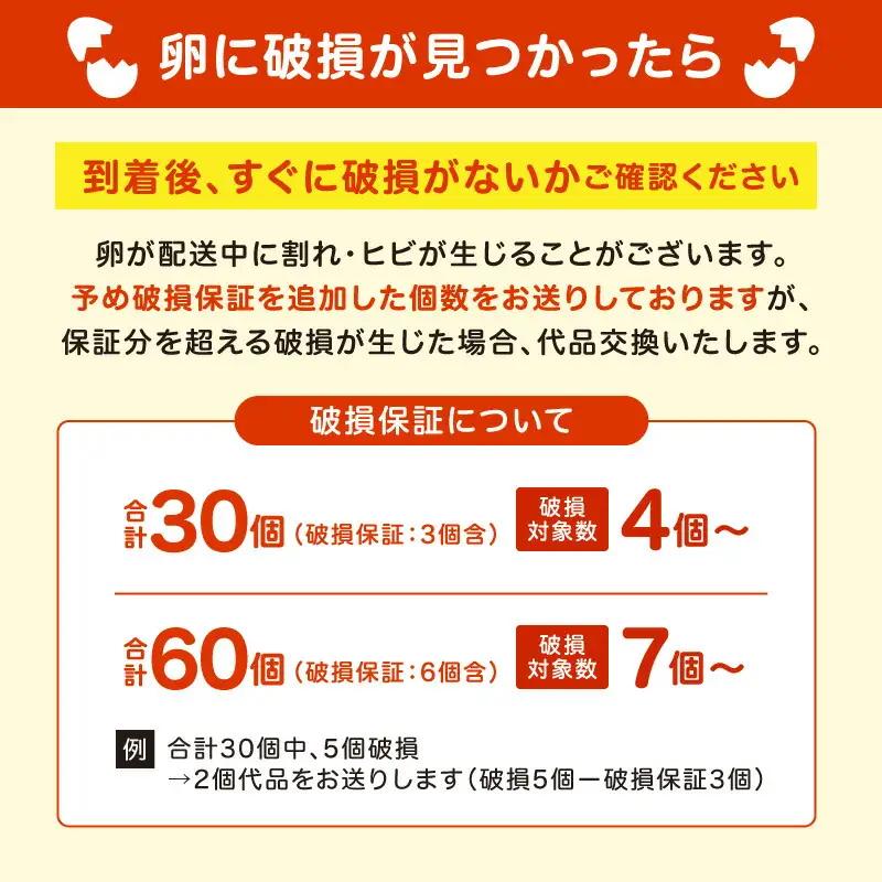 むらかみ農園の赤玉たまご60個_Y140-0002