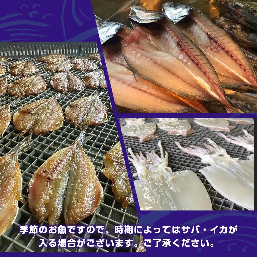 冷凍 ひもの 干物 3～5種 500g 以上 お任せ セット 天日干し / ひもの