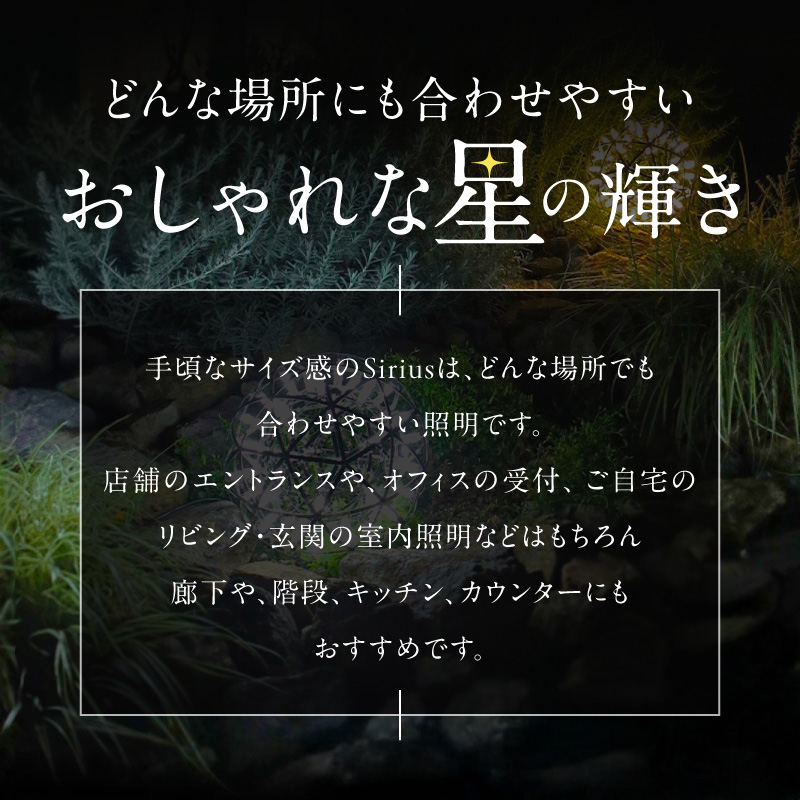 屋外対応の輝くLEDシャンデリア|WPP035 屋外対応 輝くLED シャンデリア 選べる カラー WPP035 庭園灯 LED ライト ステンレス 錆びにくい ケーブル付き コンセント式 照明 おしゃれ ラグジュアリー 室内 屋外 庭 玄関灯 エクステリア 外灯 でんらい 愛知県 小牧市 送料無料