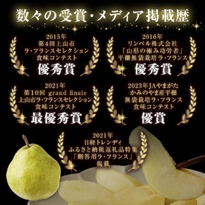 ラ・フランス　３ｋｇ　贈答品　0102-2404