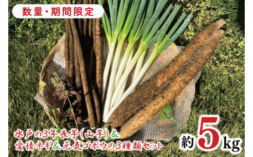 【2026年11月下旬～2027年１月下旬配送】【数量限定】水戸の３年長芋（山芋）＆愛情ネギ＆元気ゴボウの３種類セット【茨城県産 野菜 やさい 野菜セット 水戸野菜 ごぼう 牛蒡 ながいも やまいも 