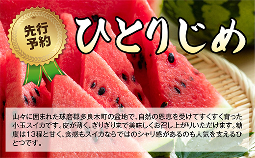 【2026年5月上旬～発送 先行予約】小玉スイカ ひとりじめ (2玉) 令和8年 夏 スイカ 食べきりサイズ 西瓜 フルーツ 果物 旬の味覚 すいか 甘い 産地直送 008-0663