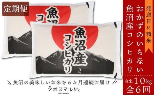 【令和8年産新米予約】【お米定期便/全６回】 おかずのいらない 魚沼産コシヒカリ　白米１０ｋｇ【定期便 銘柄米 ブランド米 精米 こしひかり コシヒカリ 魚沼産 新潟米 産地直送 お米 米】【2026年9月下旬より1ヶ月以内に順次発送予定】
