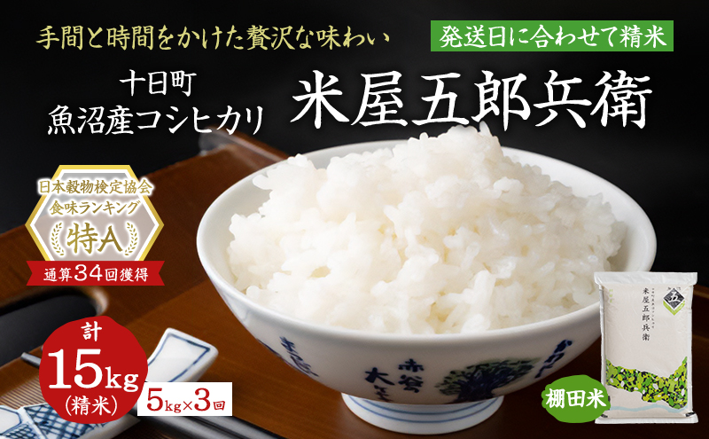 ＜新米発送＞【定期便/全3回】十日町産魚沼コシヒカリ 米屋五郎兵衛 棚田米 精米5kg