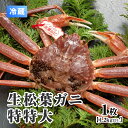 【ふるさと納税】【離島発送不可】活松葉ガニ 特特大 【1枚・1.2kg以上】 川口商店 松葉ガニ 松葉がに かに 蟹 カニ 鳥取県境港 冷蔵 鳥取県日野町