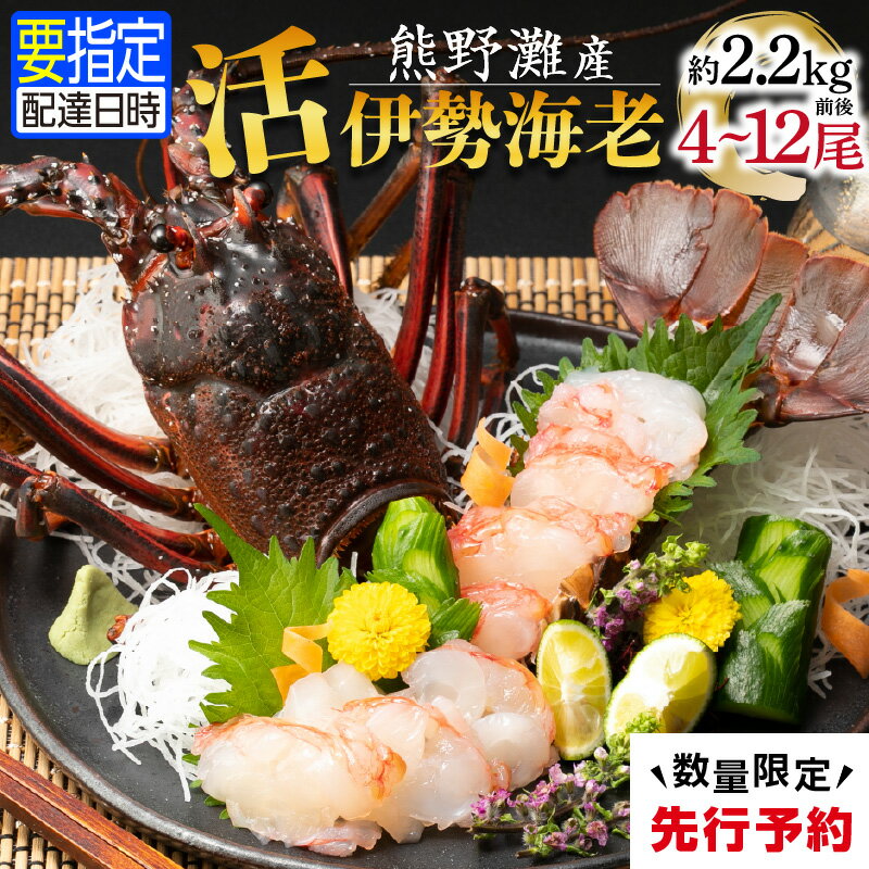 【ふるさと納税】文恵丸水産 熊野灘産活伊勢海老　大漁コース 4～12尾 約2.2kg前後【プリプリな食感がたまらない！鮮度抜群！味で勝負！】