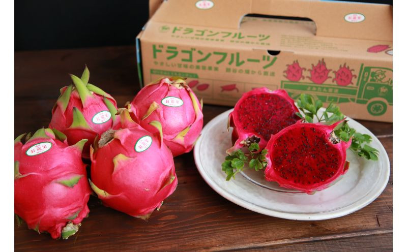 
                  ＜2026年内発送＞ドラゴンフルーツ【琉球紅龍果】Mサイズ（4玉入）2kg 〇 栄養価に優れている 色移り注意 上間充信 ポリフェノール 読谷村 ビタミン類 沖縄 鉄分豊富 上等　 うちなーすぐりむん
                