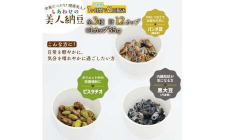 定期便 1か月間 2回お届け 計12パック しあわせの美人納豆　【 ピスタチオ / 黒大豆 / パンダ豆 】 3種6パックを隔週でお届け 自分へのご褒美 キレイをサポート 美容意識 健康食品 納豆 大
