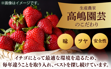 【数量限定】【2025年度先行予約】【1月上旬より順次配送】超大玉あまおう3玉?6玉約350g×2パック桂川町/高嶋園芸[ADAT001]大玉 あまおう 超大玉 大きい 福岡 特産品 厳選 最高級 有