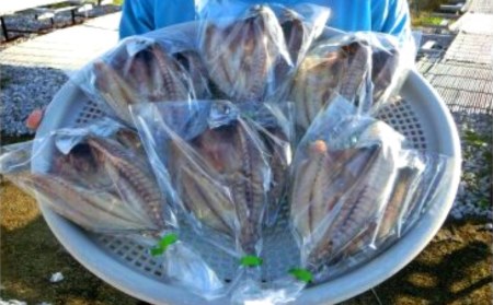 田渕水産の青アジのひらき