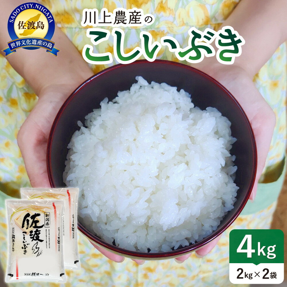 【ふるさと納税】令和7年産 佐渡 川上農産のこしいぶき（2kg×2） | お米 こめ 白米 食品 人気 おすすめ