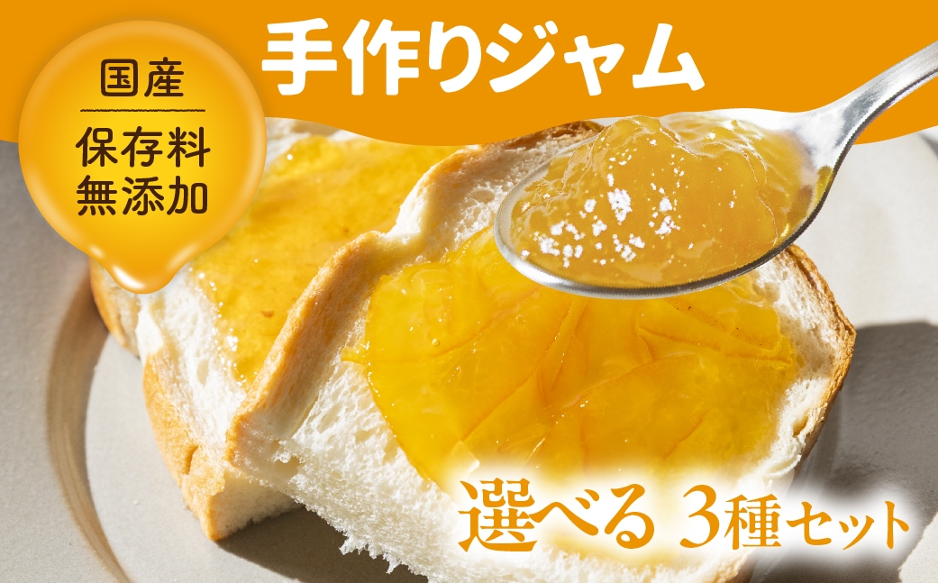 
                  国産 手作りジャム3点セット Aセット・Bセット いちじく うめ 甘夏 ゆず ミカン イチジク 梅 柚子 ユズ みかん 蜜柑 ウメ 無添加 手造り てづくり 手作り ジャム フルーツ 果物
                