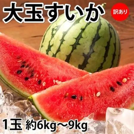 訳あり大玉すいか 1玉(約6kg～9kg)【2027年5月下旬より順次発送予定】(益城町)【1585582】