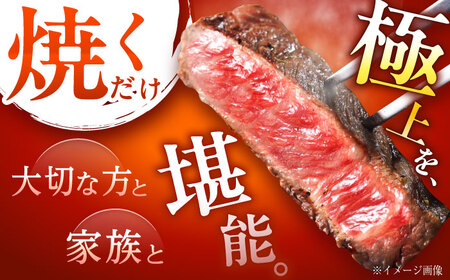 高知 黒毛和牛 ステーキ 約250g×2枚 / 高知 お肉 牛肉 牛 サーロイン 贈答 ギフト 贅沢 【焼肉寛十郎】[ATDO011]
