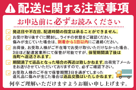 【先行受付】佐賀県産ライチ 1kg(贈答用)【生ライチ ライチ 生 基山町産 贈答用 貴重 国産 新鮮 フレッシュ 肉厚 シャーベット 1ｋｇ お中元 贈り物】 B5-F060001