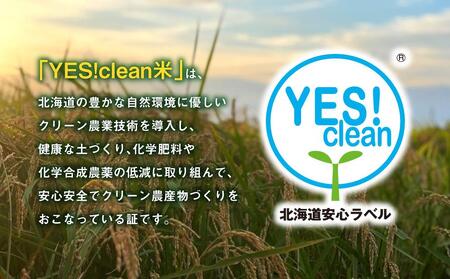 《令和7年産》ななつぼし5kg×2袋（10kg）YES!clean米 | ななつぼし 北海道 限定_01307