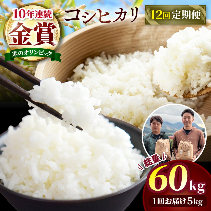 【ふるさと納税】【 12回 定期便 】 特別栽培米 こしひかり 5kg × 12回（株式会社オリゾーラ） | 米 こしひかり コシヒカリ 定番 品種 特別栽培 定期 寒暖差 木島平村 長野県 信州