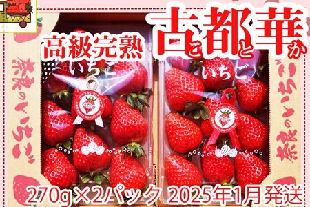 いちご好きのためのいちご 奈良県ブランドいちご 「古都華（ことか）」2025年1月発送 / いちごいちごいちごいちごいちごいちごいちごいちごいちごいちごいちごいちごいちごいちごいちごいちごいちごいちごいちごいちごいちごいちごいちごいちごいちごいちごいちごいちごいちごいちごいちごいちごいちごいちごいちごいちごいちごいちごいちごいちごいちごいちごいちごいちごいちごいちごいちごいちごいちごいちごいちごいちごいちごいちごいちごいちごいちごいちごいちごいちごいちごいちごいちごいちごいちごいちごいちごいちごいちごいちご