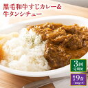 【ふるさと納税】【全3回定期便】 黒毛和牛 牛すじカレー ＆ 牛タンシチュー 毎月3食 長与町/炭火焼肉あおい [EBW007] 和牛カレー タンシチュー 常温