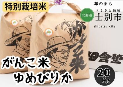 【北海道士別市】田舎塾特別栽培米「がんこ米ゆめぴりか」20Kg