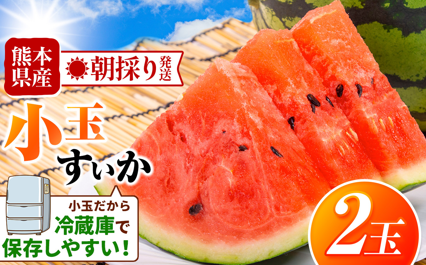 
            小玉スイカ（赤色）2玉 熊本県和水町産  | 【 6月末まで順次発送 】 熊本県 和水町 くまもと なごみまち すいか スイカ 西瓜 小玉 2玉 フルーツ 季節の果物 果物 赤色
          