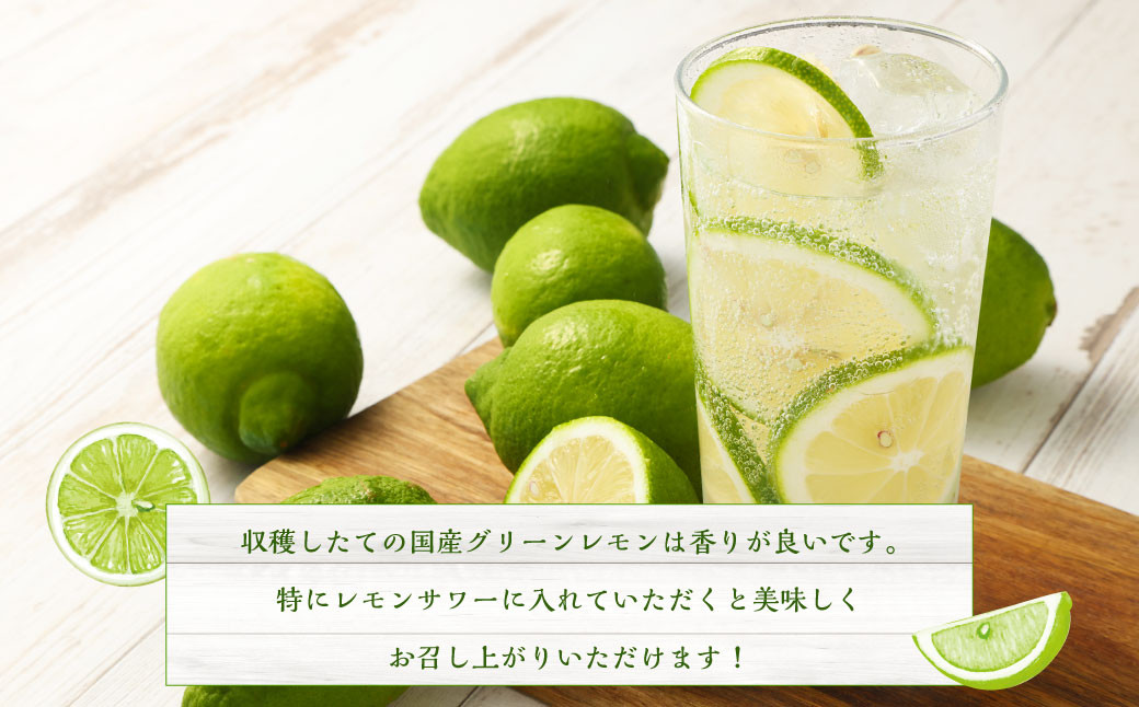 国産グリーンレモン  4kg｜ フルーツ 果物 グリーンレモン レモン 柑橘 れもん 檸檬 国産 静岡県 菊川市