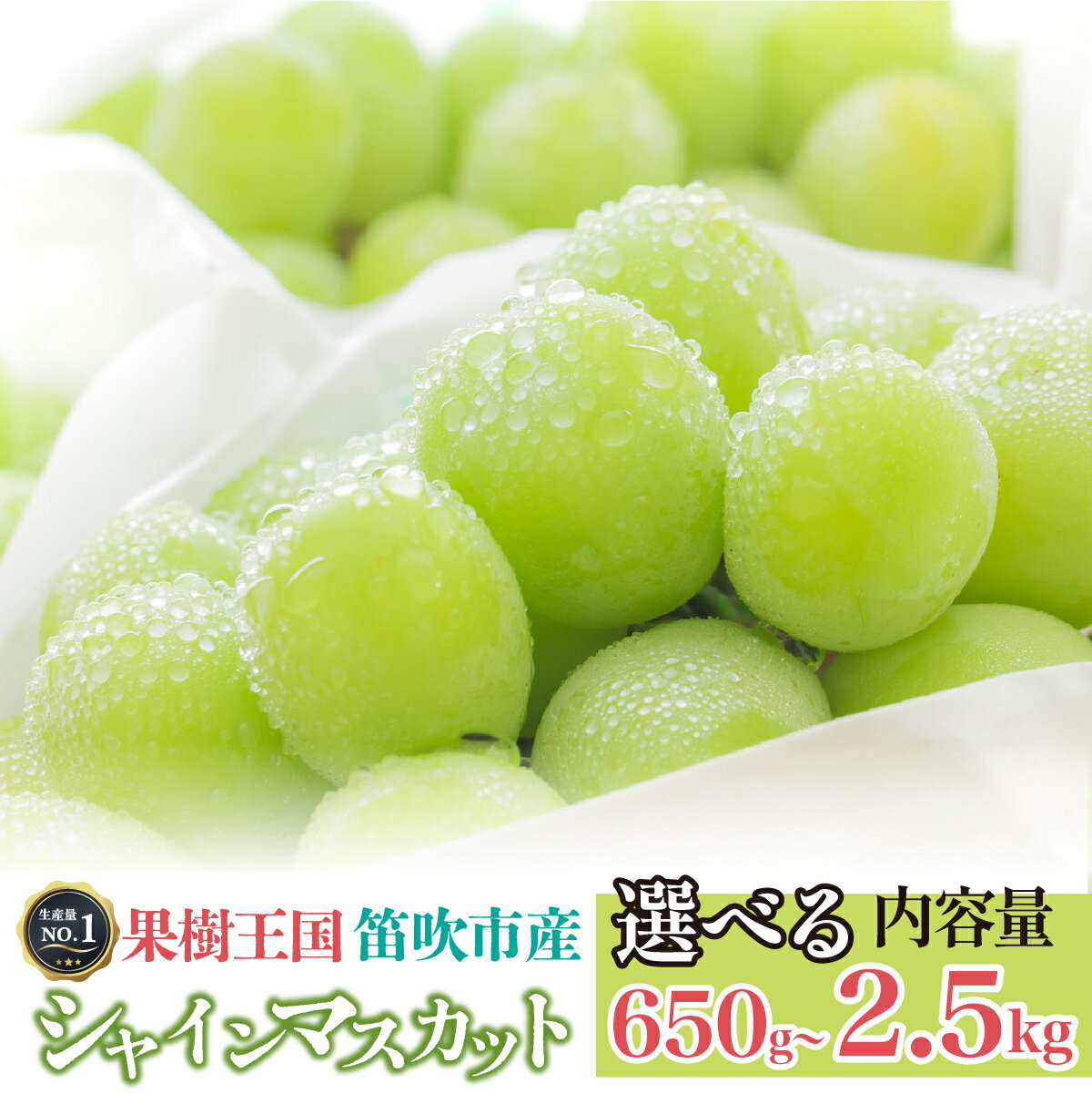 【ふるさと納税】＜26年先行予約＞こだわりシャインマスカット 650g 1.2kg　2.5kg【選べる容量】 (沖縄・離島配送不可) (常温配送) 期間限定 ランキング ぶどう 葡萄 人気 おすすめ 送料無料 126-002/126-007/126-017