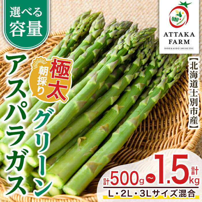 【ふるさと納税】＜特別栽培・期間限定＞北海道士別市産 極太グリーンアスパラ (L～3Lサイズ混合・500g～1.5kg) 【2025年5月から順次発送】野菜 太い 極太 アスパラ アスパラガス グリーンアスパラ 北海道 北海道産 国産 旬 産地直送 【あったかふぁーむ】