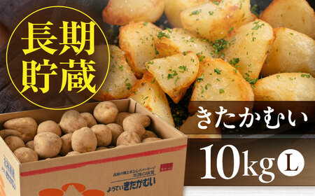 【2026年1月以降順次発送】じゃがいも きたかむい 10kg 《喜茂別町》【Aコープようてい】じゃがいも  じゃがいも  じゃがいも  じゃがいも  じゃがいも   [AJAK012] 8000 8