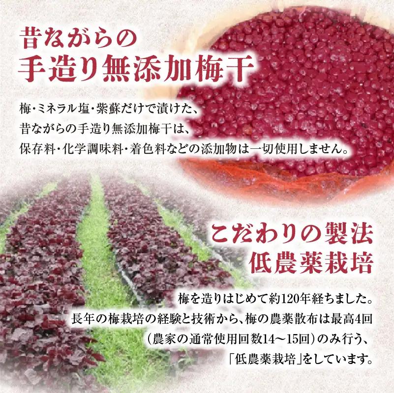 日本一七折小梅 300g（化粧箱入）　011-002