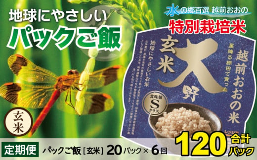 【先行予約】【6ヶ月定期便】地球にやさしいパックご飯 20食入り【玄米】× 6回　計120食　減農薬・減化学肥料 「特別栽培米」