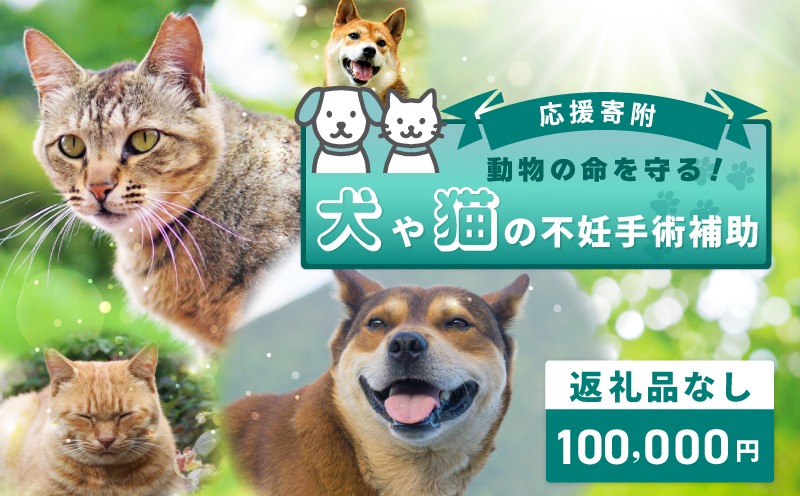 ON0030 【返礼品なし】動物の命を守る！犬や猫の不妊手術補助 応援寄附（大阪府泉佐野市）　