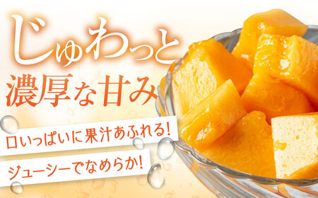 【2025年8月以降順次発送】 赤肉メロン 2kg×2玉 《喜茂別町》【Aコープようてい】 メロン メロン メロン メロン メロン メロン  [AJAK024]