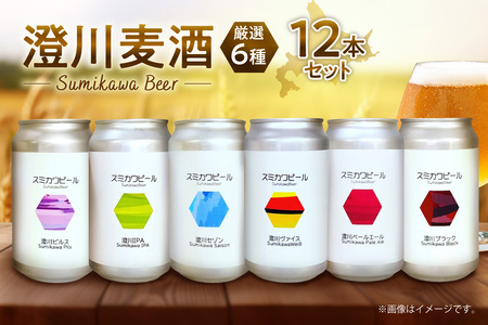 澄川麦酒厳選12本セット｜地ビール クラフトビール ビール 晩酌 北海道 札幌市